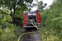 Waldbrand Koeln Hoehenhaus Hoehenfelder Mauspfad P158